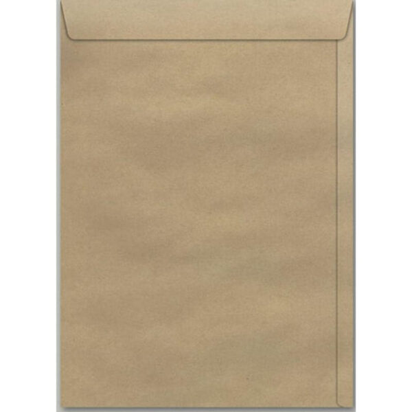 Envelope Via Brasil 240x340 Kraft