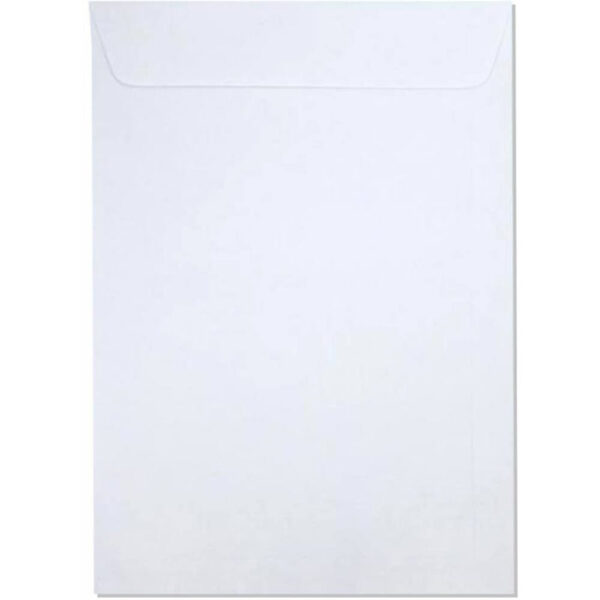 Envelope Via Brasil 240x340 Branco