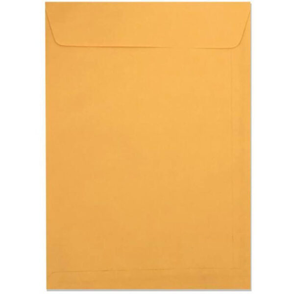 Envelope Via Brasil 200x280 Ouro
